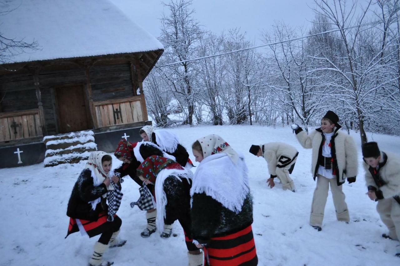 Cabana Iza Ξενοδοχείο Bîrsana Εξωτερικό φωτογραφία