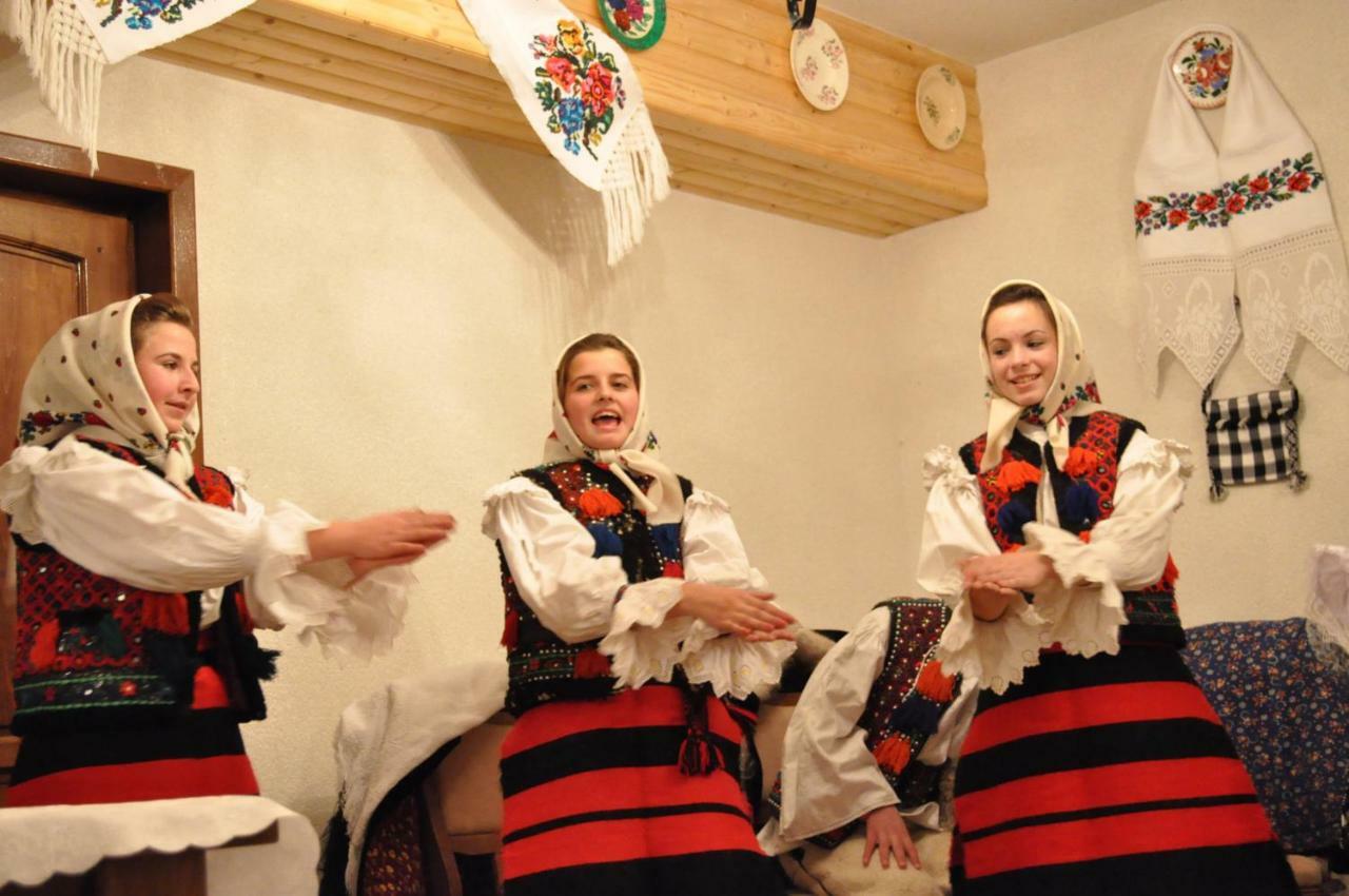Cabana Iza Ξενοδοχείο Bîrsana Εξωτερικό φωτογραφία