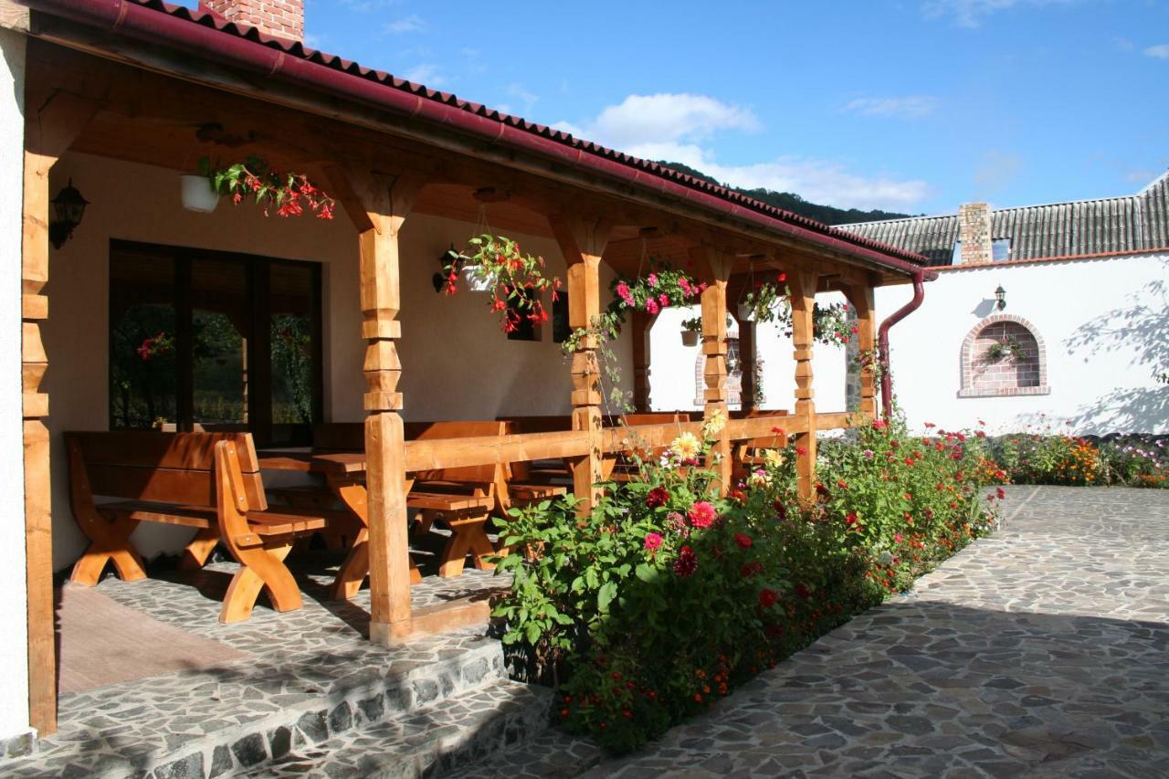 Cabana Iza Ξενοδοχείο Bîrsana Εξωτερικό φωτογραφία